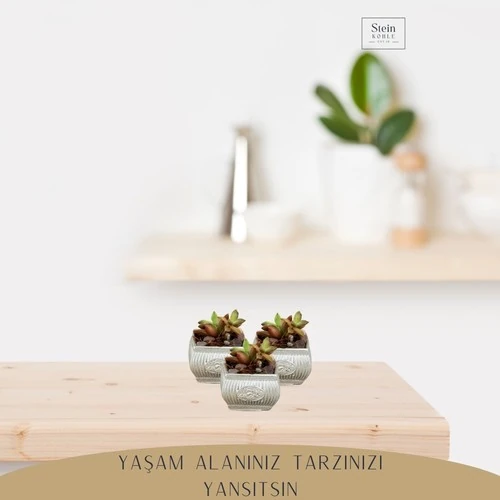 Stein Kohle Dekoratif Saksı Minik Kaktüs Saksısı Mini Çizgili Çiçekli Model