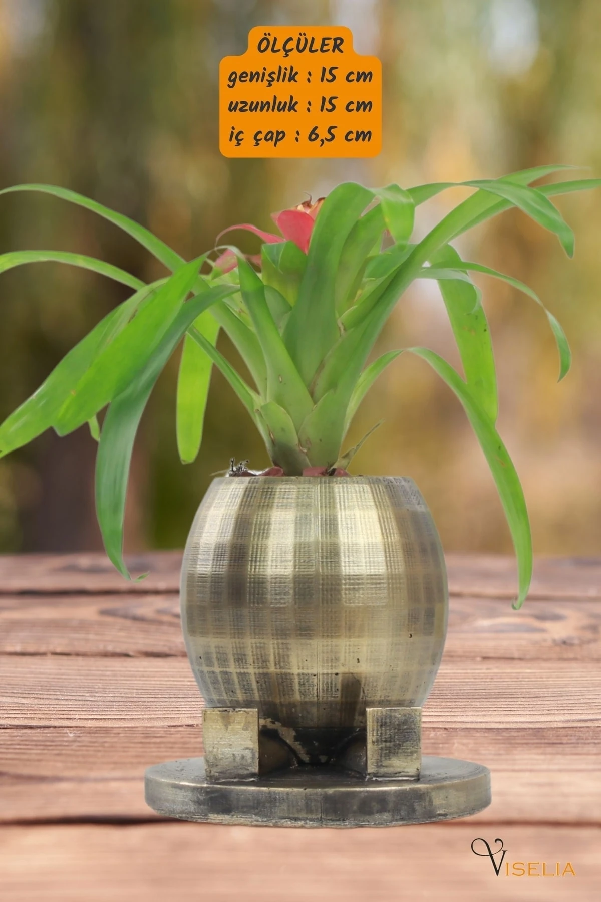 Viselia Dekoratif Saksı Altın Eskitme Küçük Çiçek Saksısı Yuvarlak Ayaklı Model