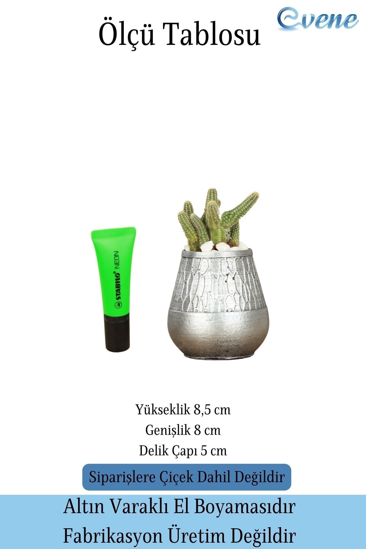 Kaktüs Saksısı Dekoratif Saksı Model 17