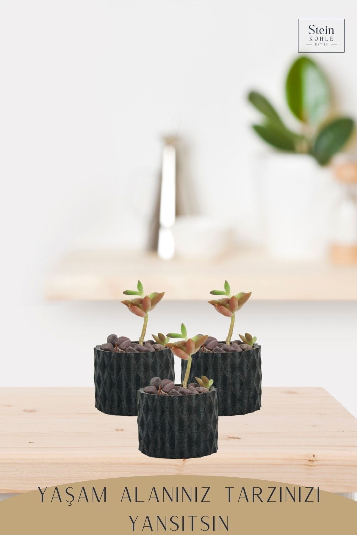 Dekoratif Saksı Minik Kaktüs Saksısı Siyah Renk 1 Adet Baklava Model