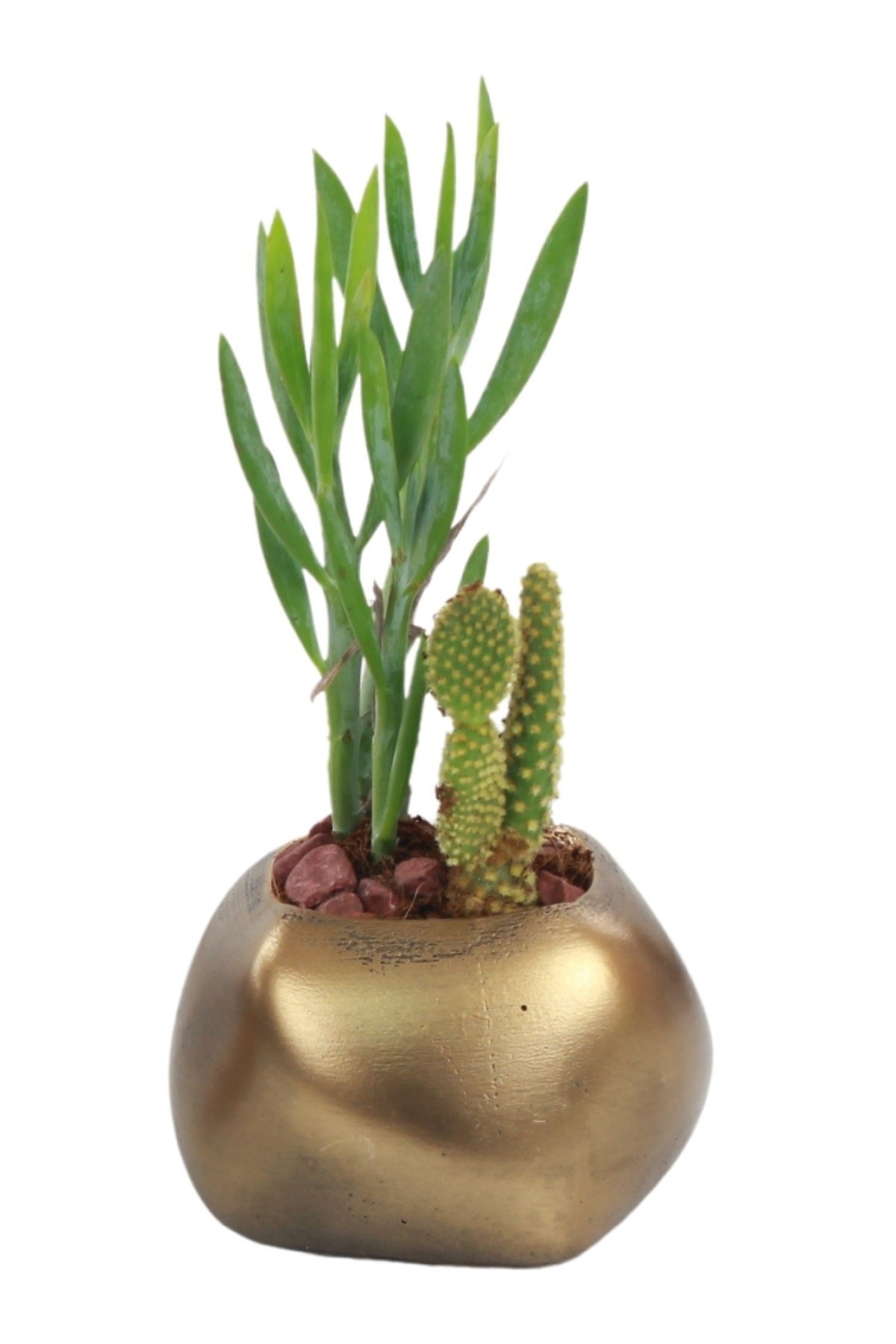 Saksı Çiçek Kaktüs Saksısı Lüx 9 Cm Altın Eskitme Varak Boyalı Elips Desen Saksı Çiçeklik