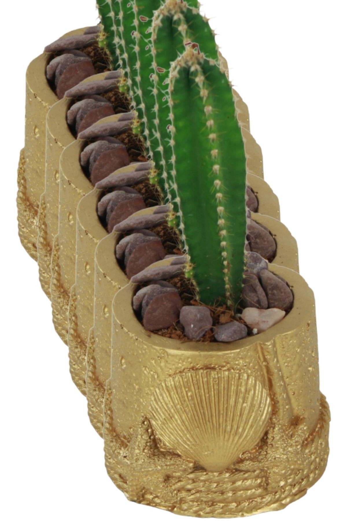 Altın thumbnail image
