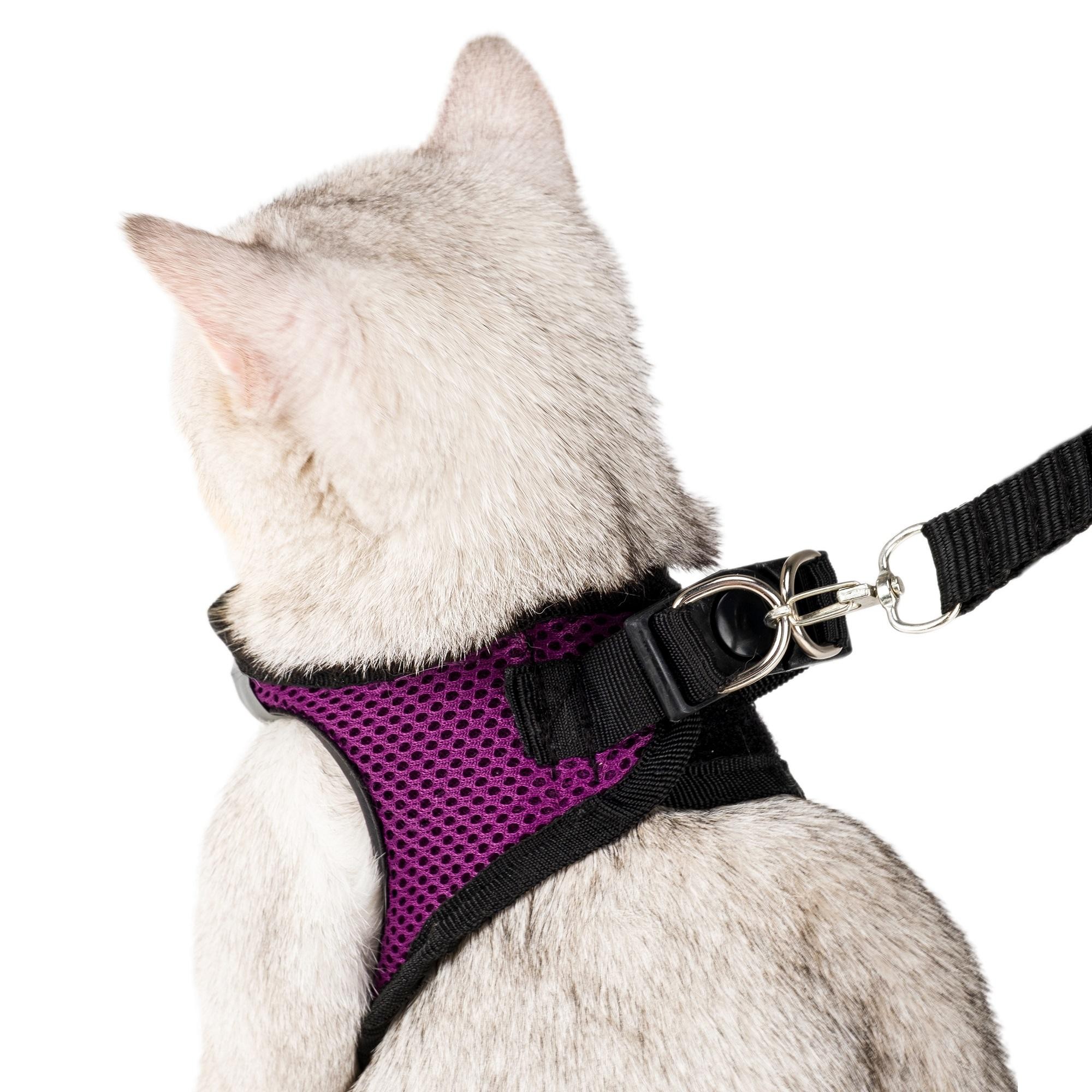 Kedi Köpek Tasması Large Beden Reflektörlü Fileli Hava Alan Kumaş Sevk Kayışlı Model Paris
