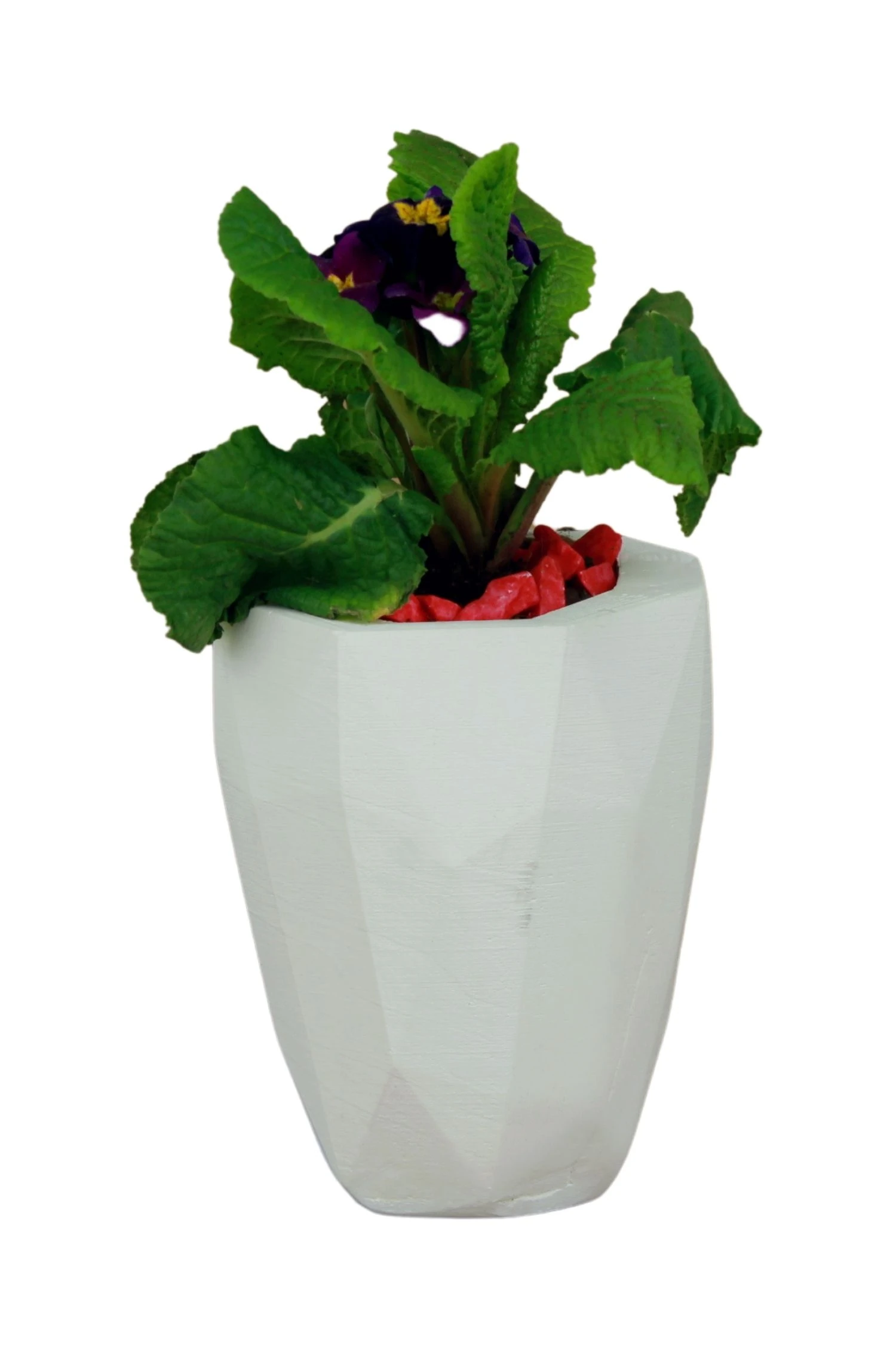 Çiçek Saksısı Beyaz Beton Saksı Model Uzun Poly