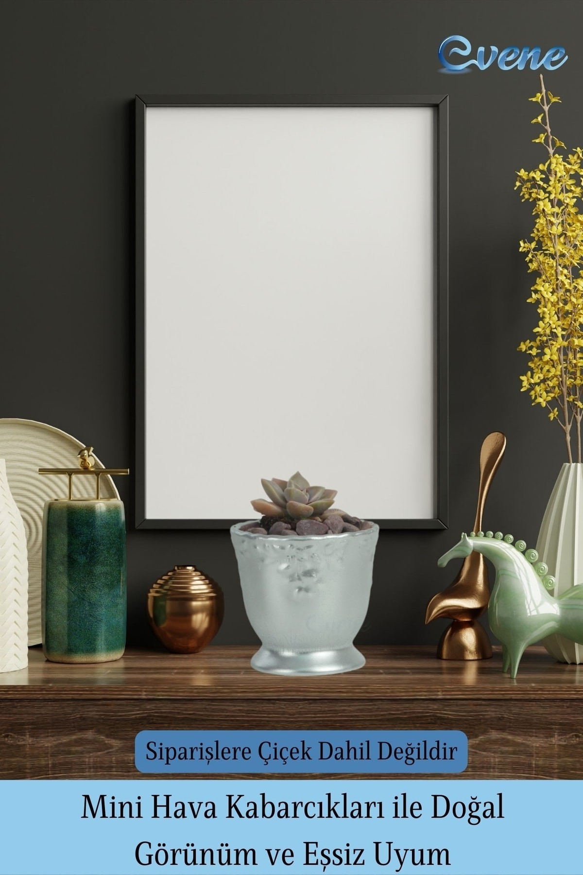 Kaktüs Saksısı Dekoratif Saksı Model 6
