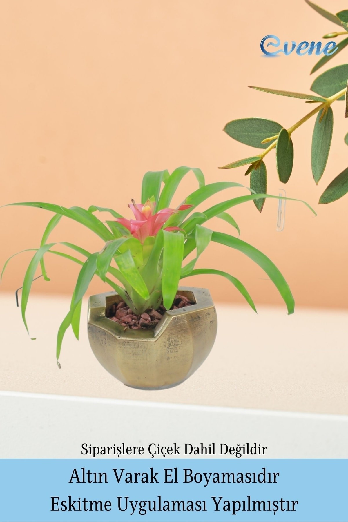 Saksı Çiçek Kaktüs Saksısı Lüx 15 Cm Altın Eskitme Varak Boyalı Önü Açık Desenli 3'lü Set Çiçeklik