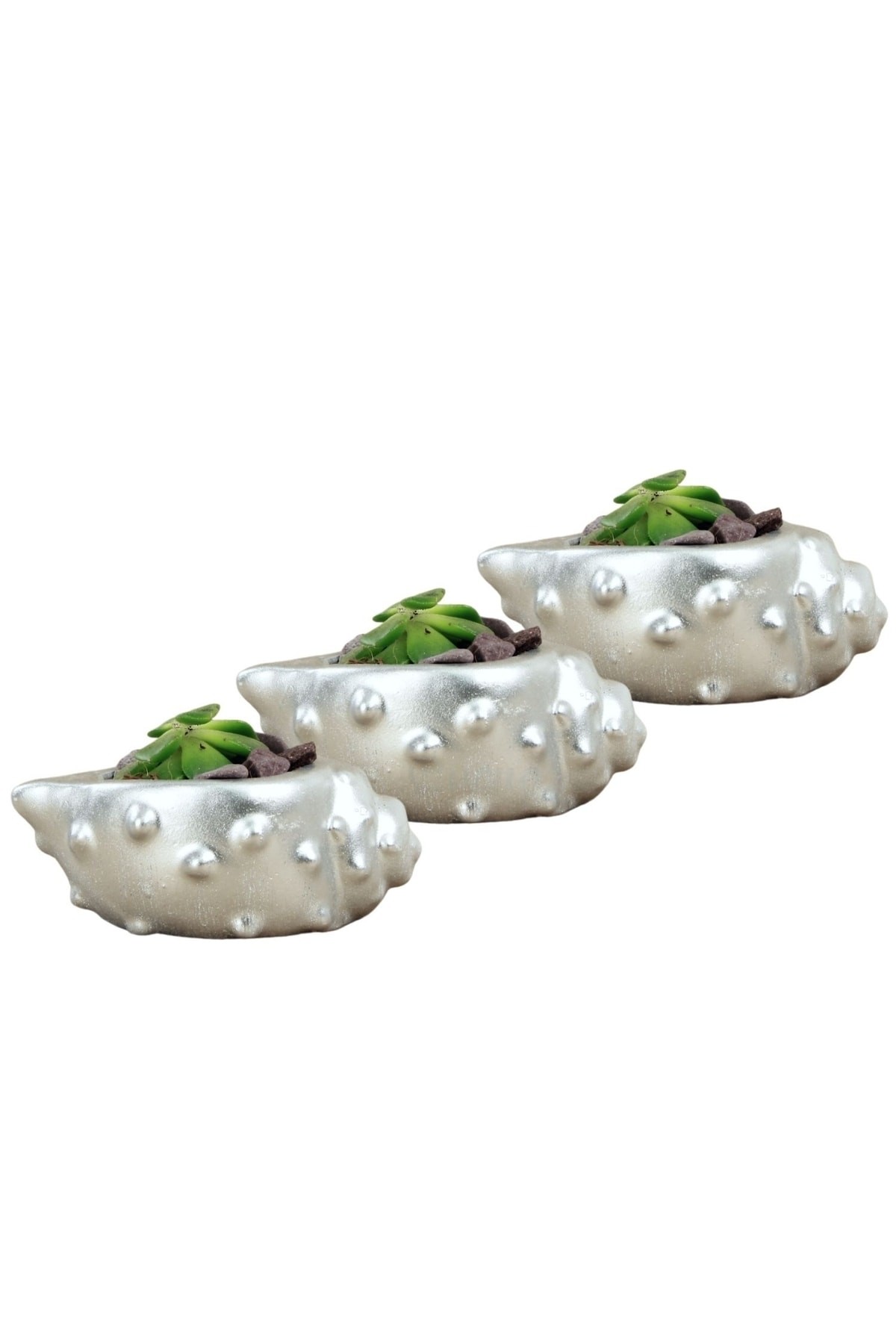 Gümüş thumbnail image