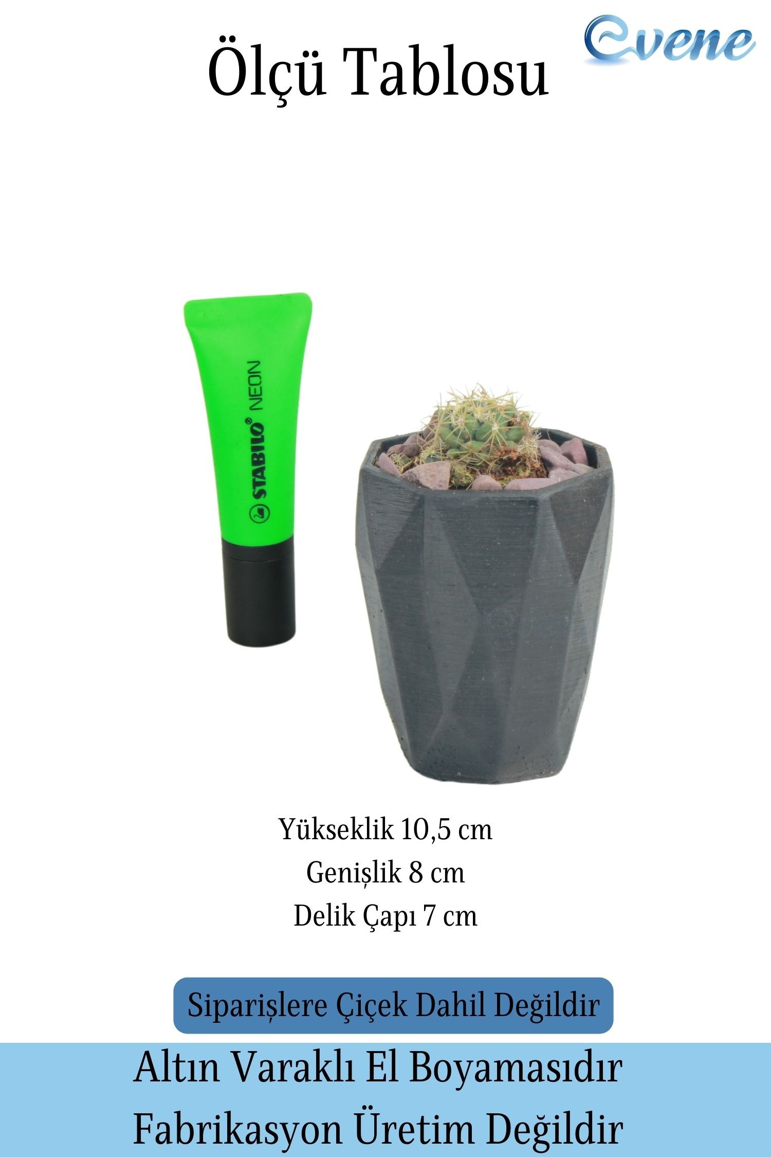 Saksı Kaktüs Saksısı Dekoratif Saksı Model 12