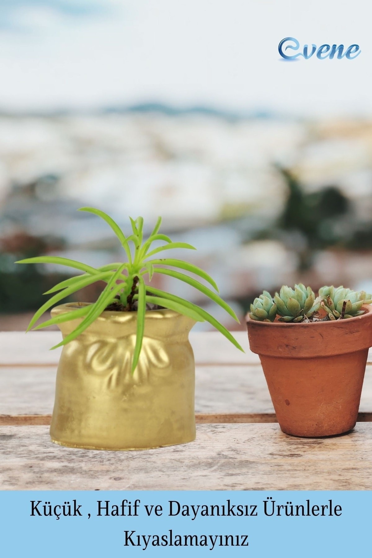 Mini Çiçek Saksı Küçük Sukulent Gümüş Kaktüs Saksısı Kese Model