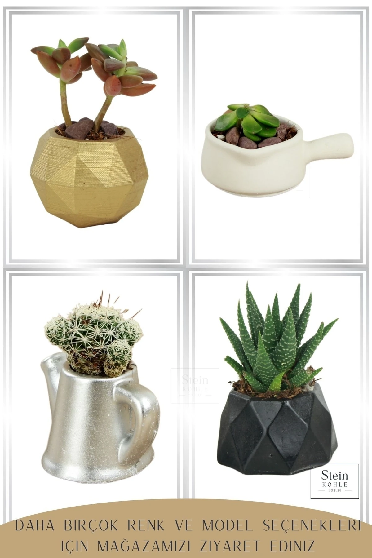 Dekoratif Saksı Minik Kaktüs Saksısı Beyaz Renk 3 Adet Saksı Seti Mini Tava Model