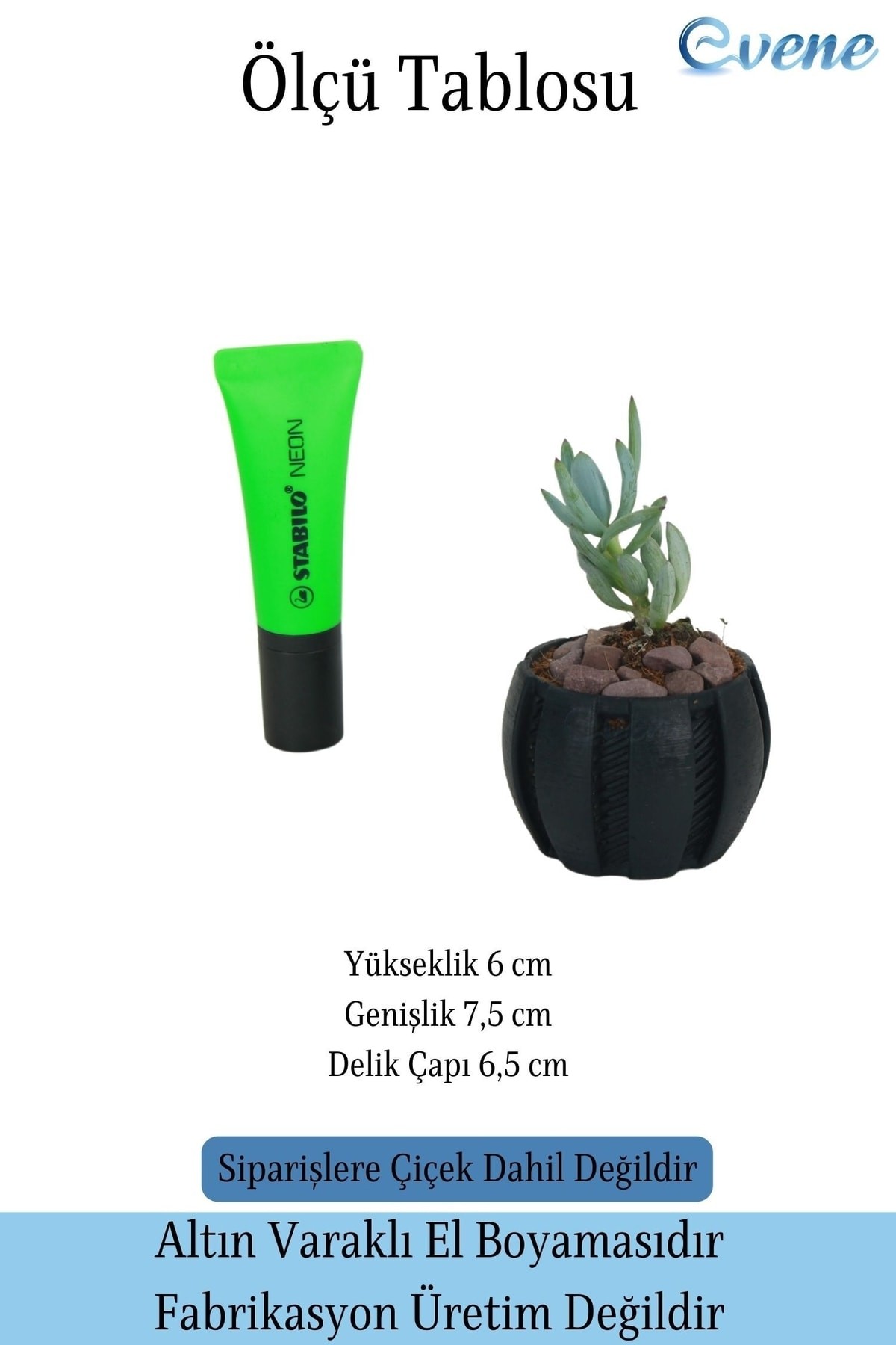 Saksı Kaktüs Saksısı Dekoratif Saksı Model 5