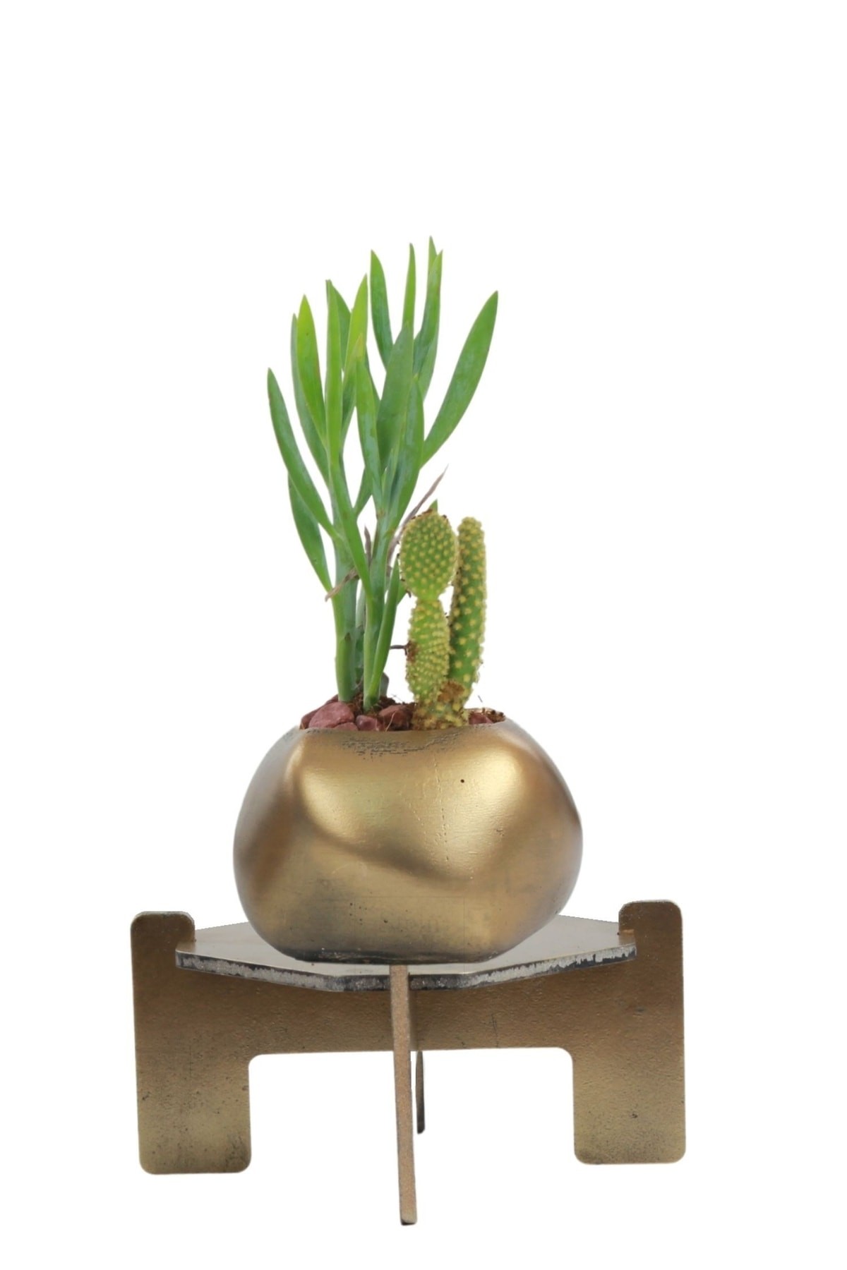 Ayaklı Saksı Ahşap Dekoratif Kaktüs Saksısı 1 Adet Altın Renk Eskitme Uygulamalı Spiral Oval Model