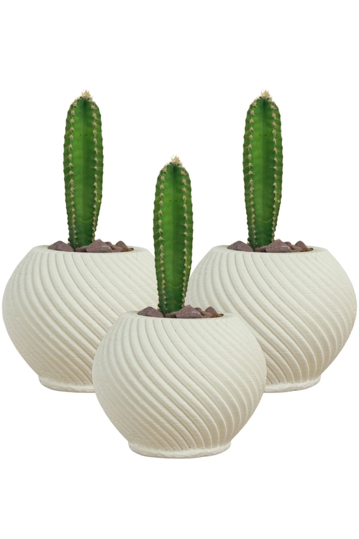 Beyaz thumbnail image