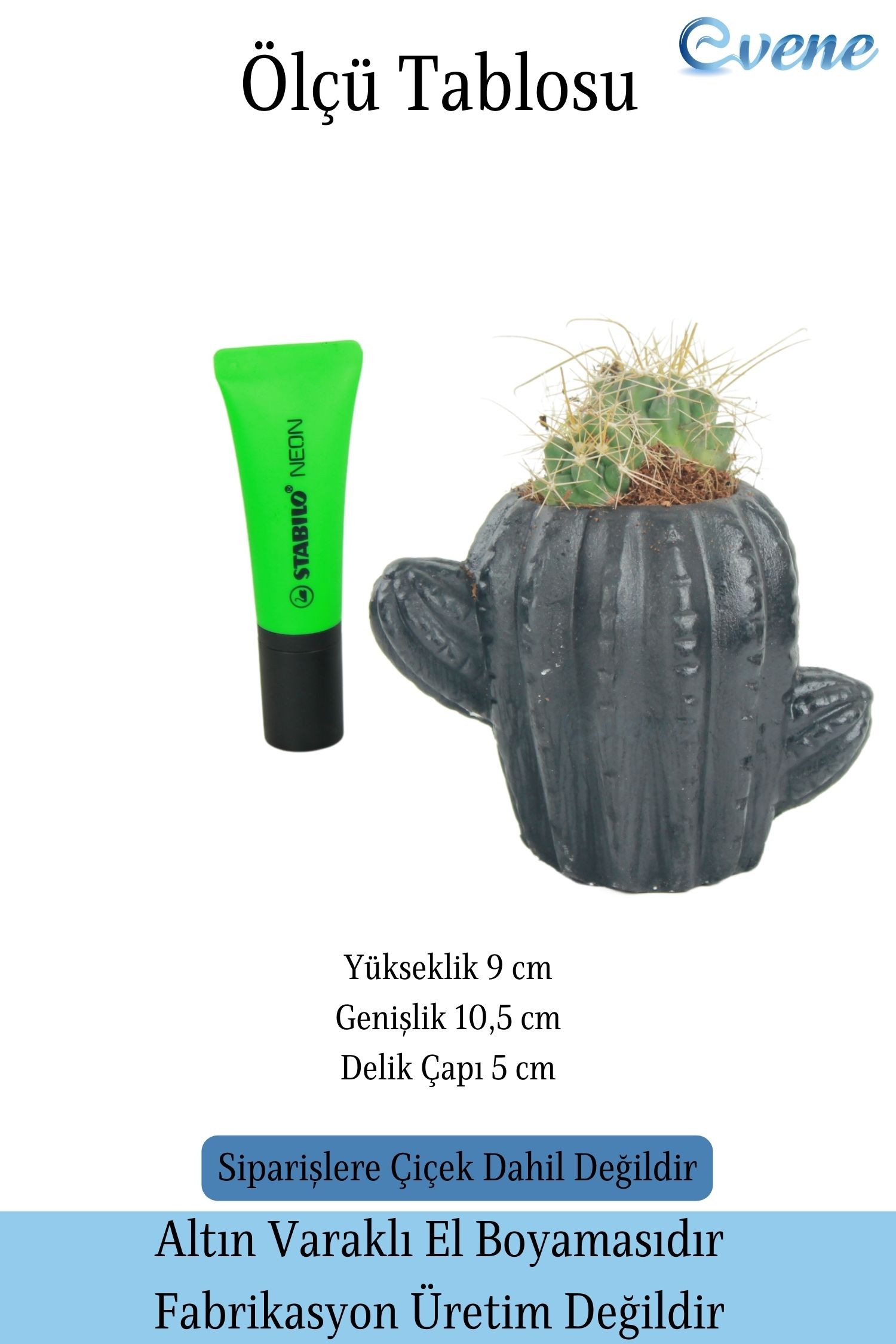 Mini Çiçek Saksısı Küçük Sukulent Siyah Kaktüs Saksı Kaktüs Model