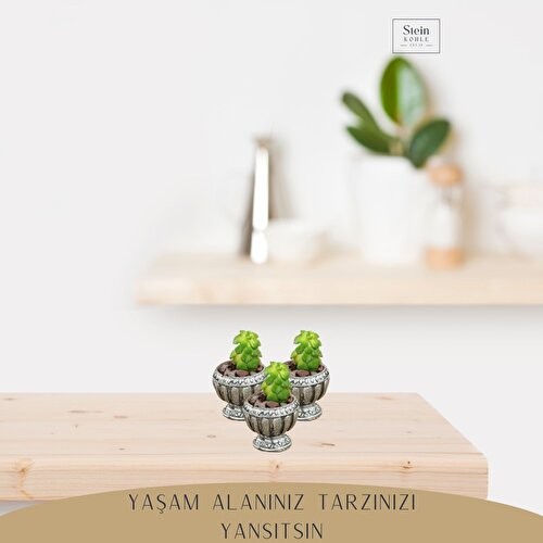 Dekoratif Saksı Minik Kaktüs Saksısı Antika Vazo Model