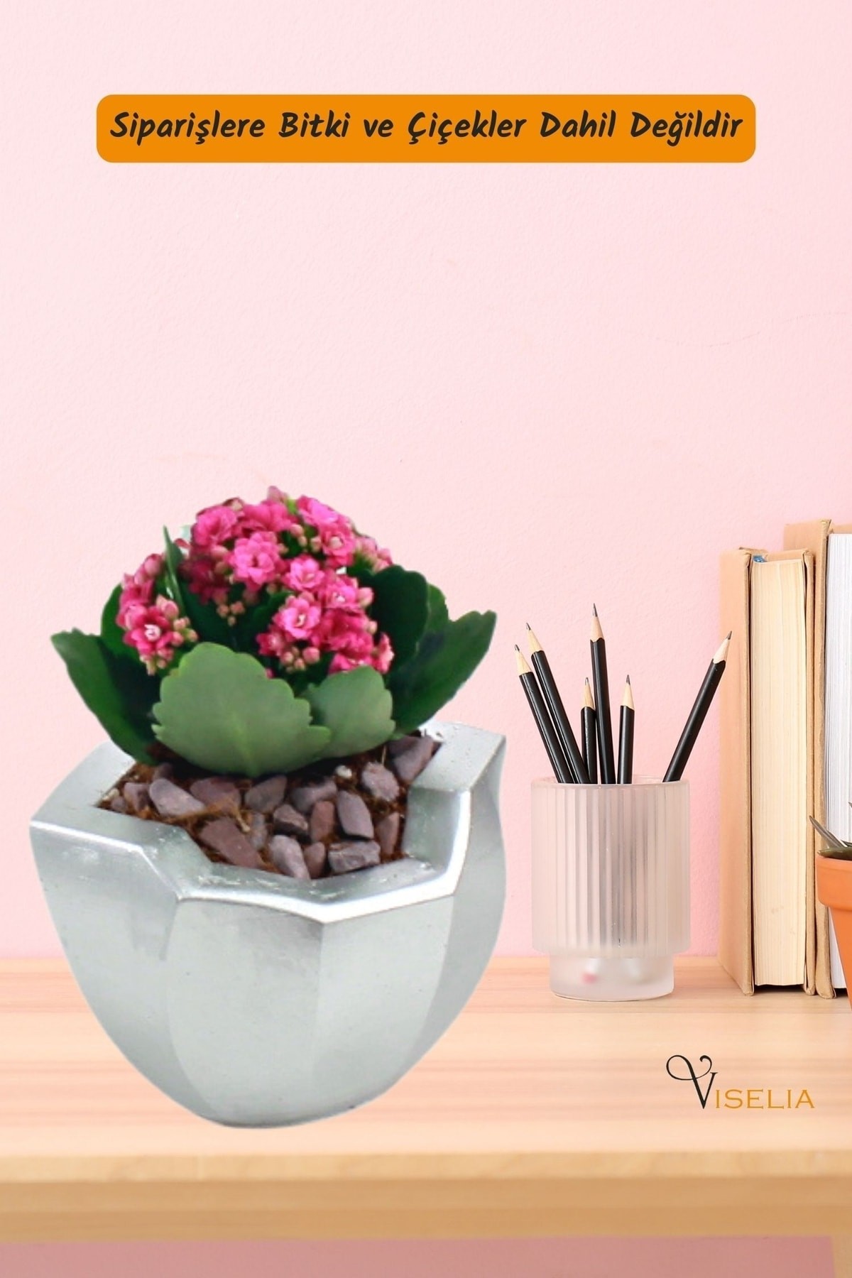 Dekoratif Saksı Gümüş Küçük Çiçek Saksısı Önü Açık Model