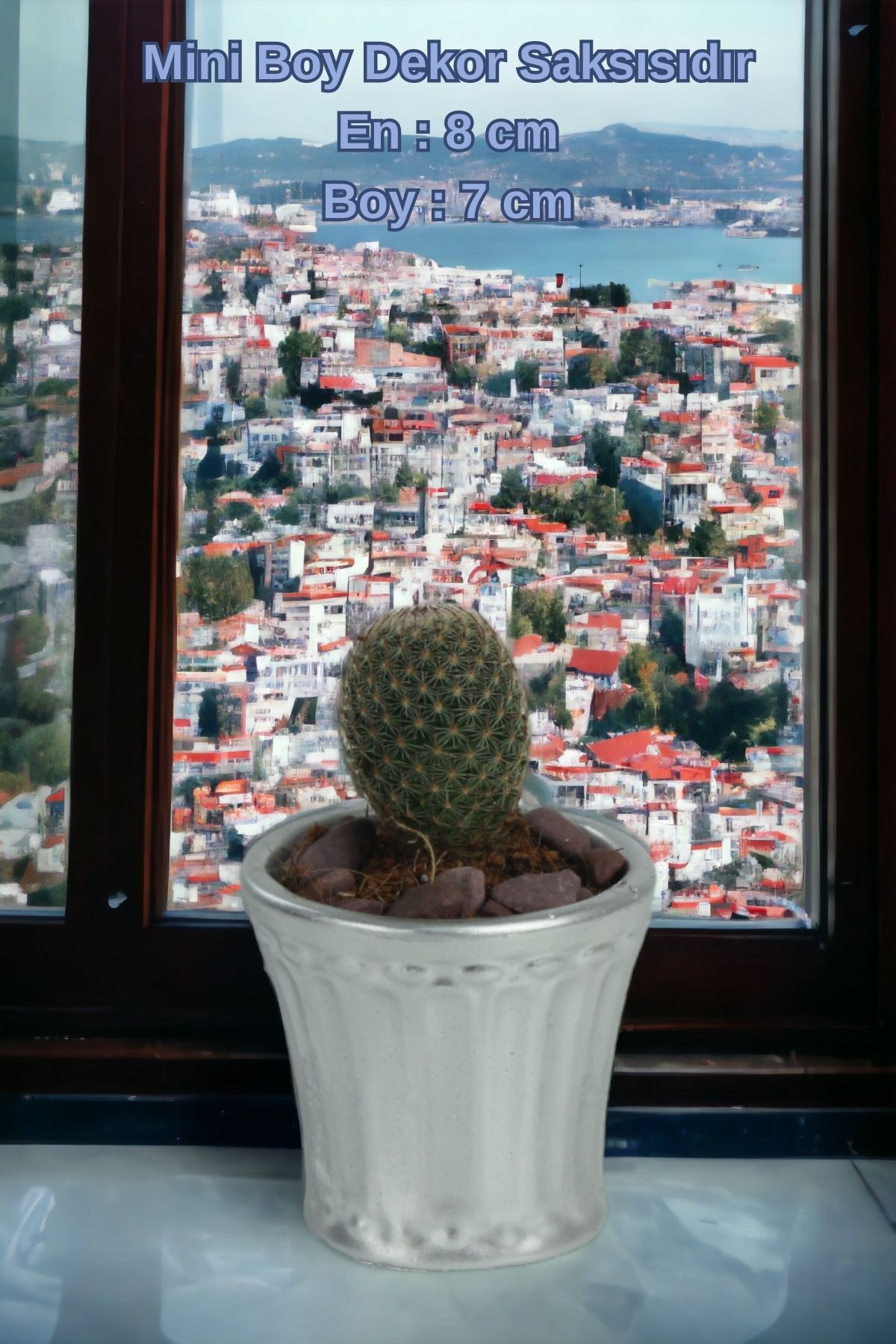 Gümüş thumbnail image