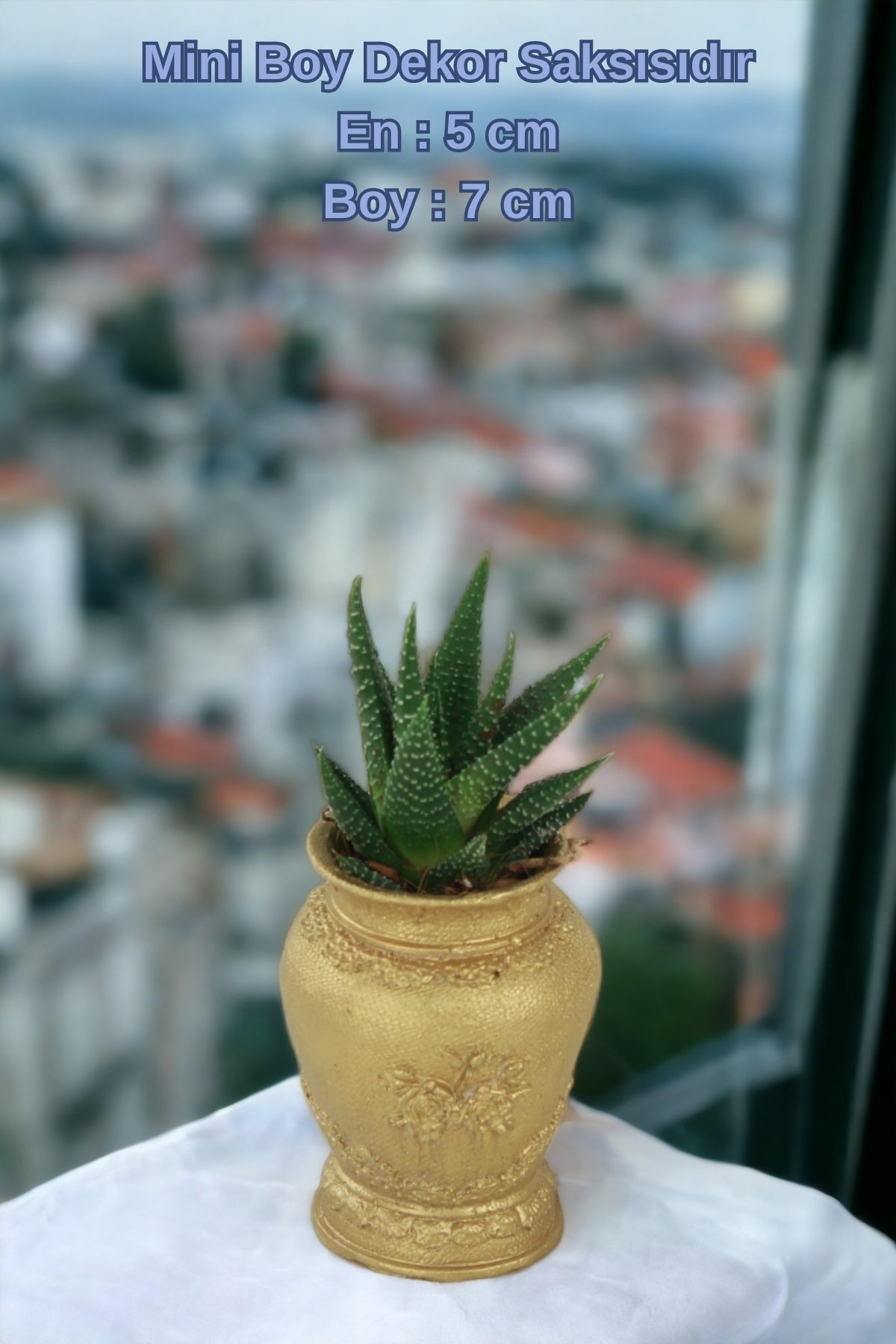 Altın thumbnail image