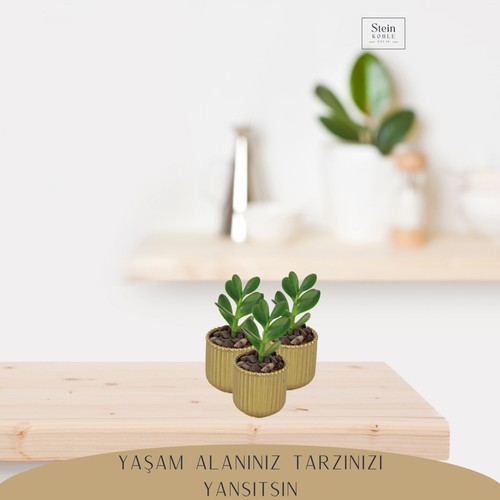 Stein Kohle Dekoratif Saksı Minik Kaktüs Saksısı Vintage Düz Çizgili Model