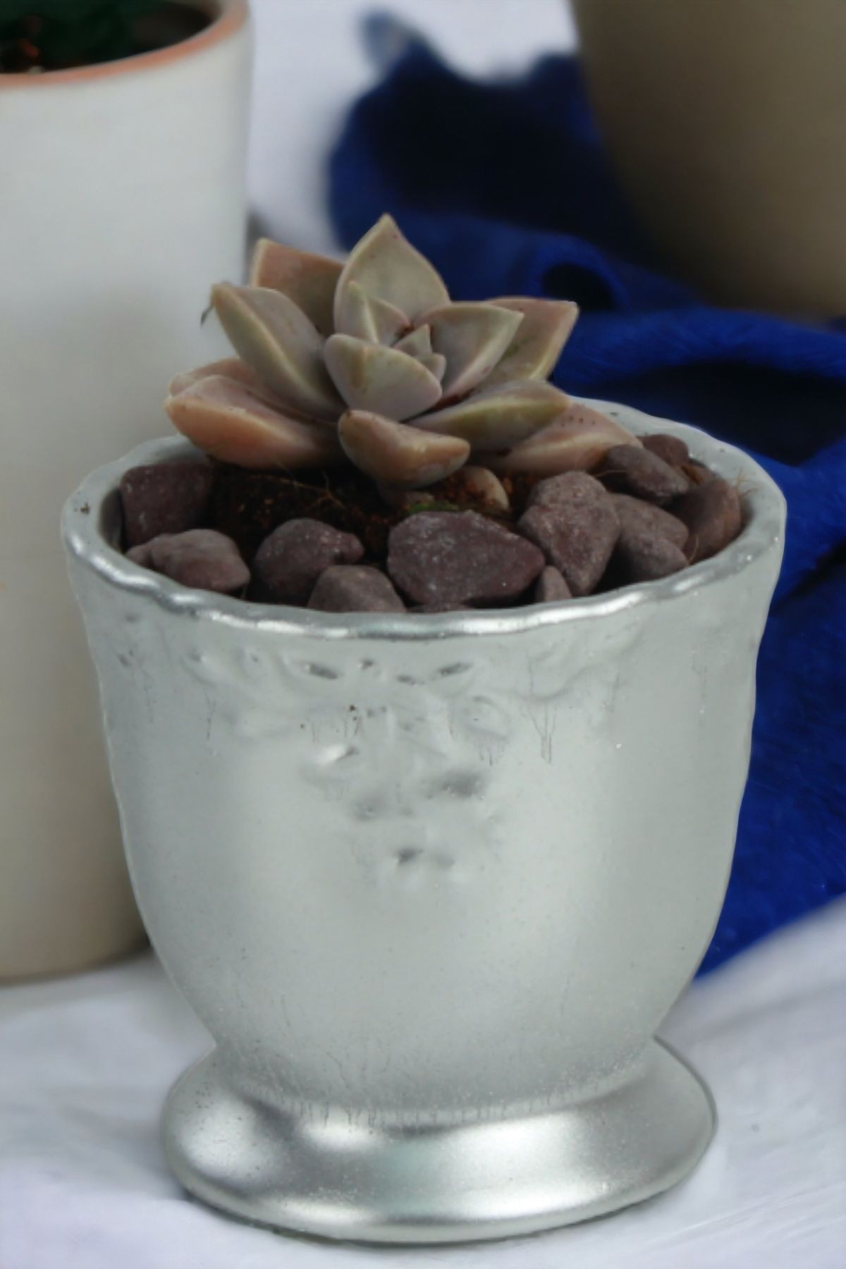 Gümüş thumbnail image