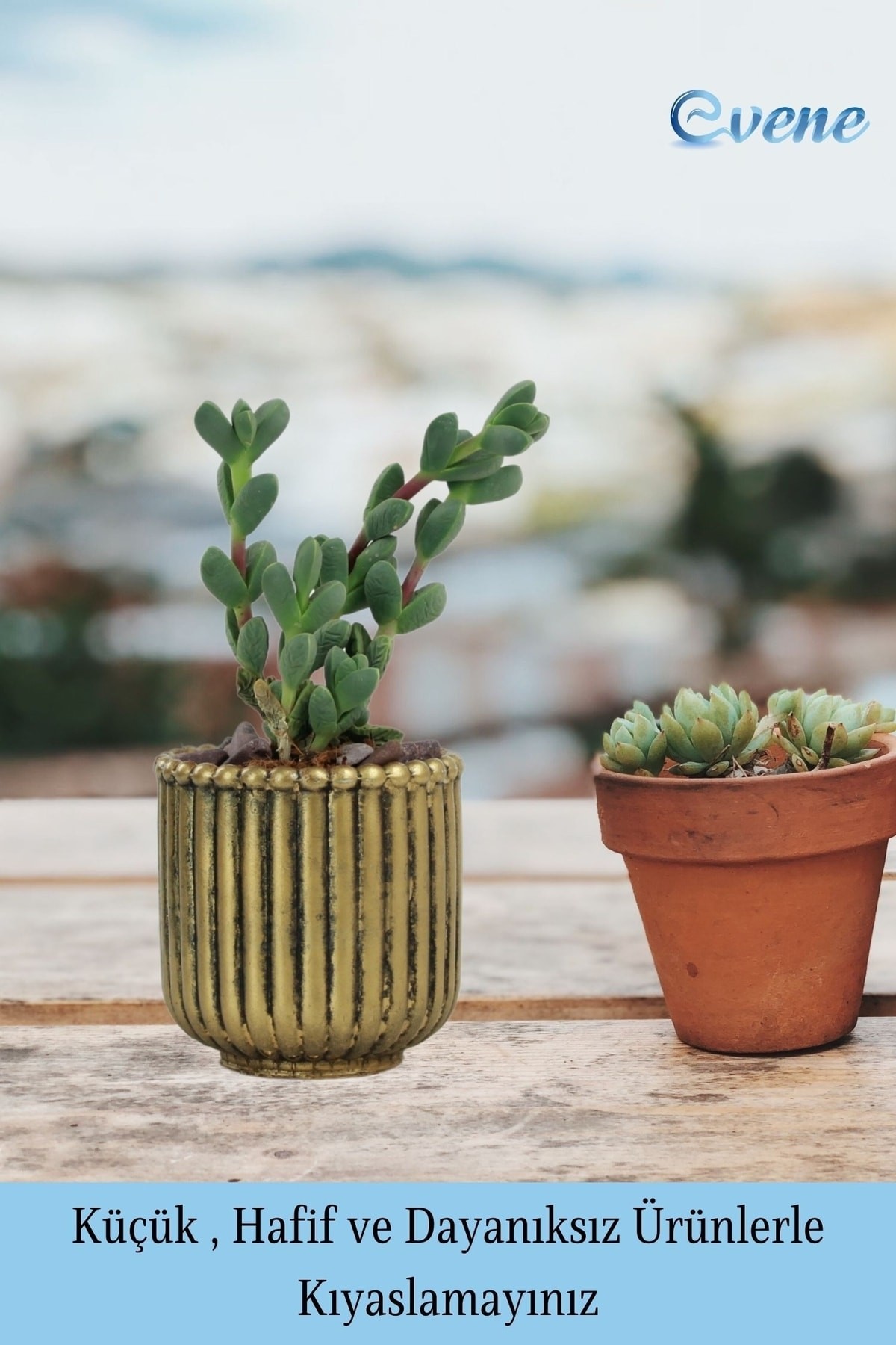 Mini Çiçek Saksı Küçük Sukulent Altın Eskitme Kaktüs Saksısı Vintage Düz Çizgili Model