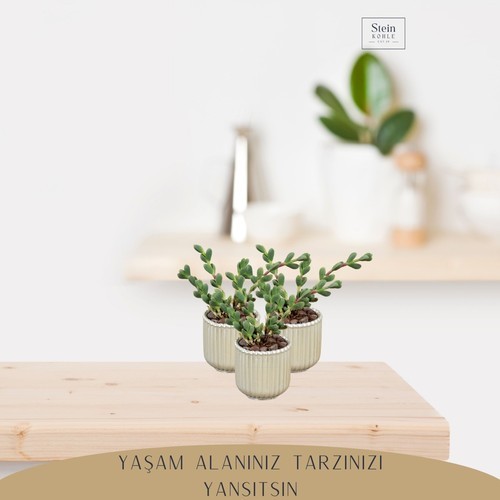 Stein Kohle Dekoratif Saksı Minik Kaktüs Saksısı Vintage Düz Çizgili Model