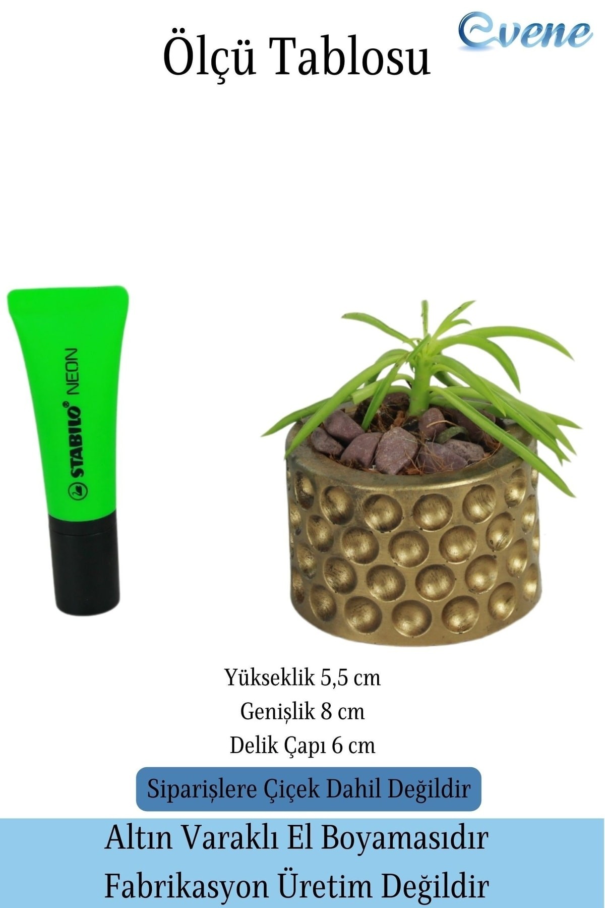 Mini Çiçek Saksı Küçük Sukulent Altın Eskitme Kaktüs Saksısı Puantiyeli Model