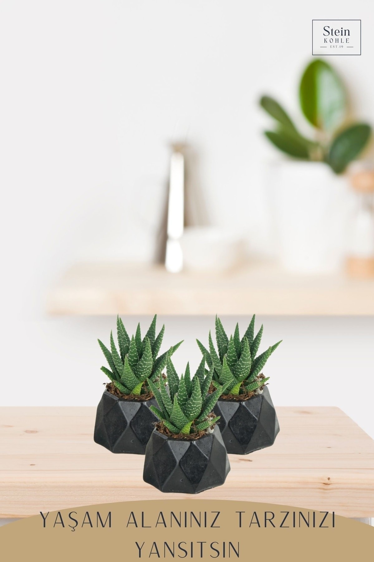 Dekoratif Saksı Minik Kaktüs Saksısı Siyah Renk 3 Adet Saksı Seti Mini Poly 1 Model