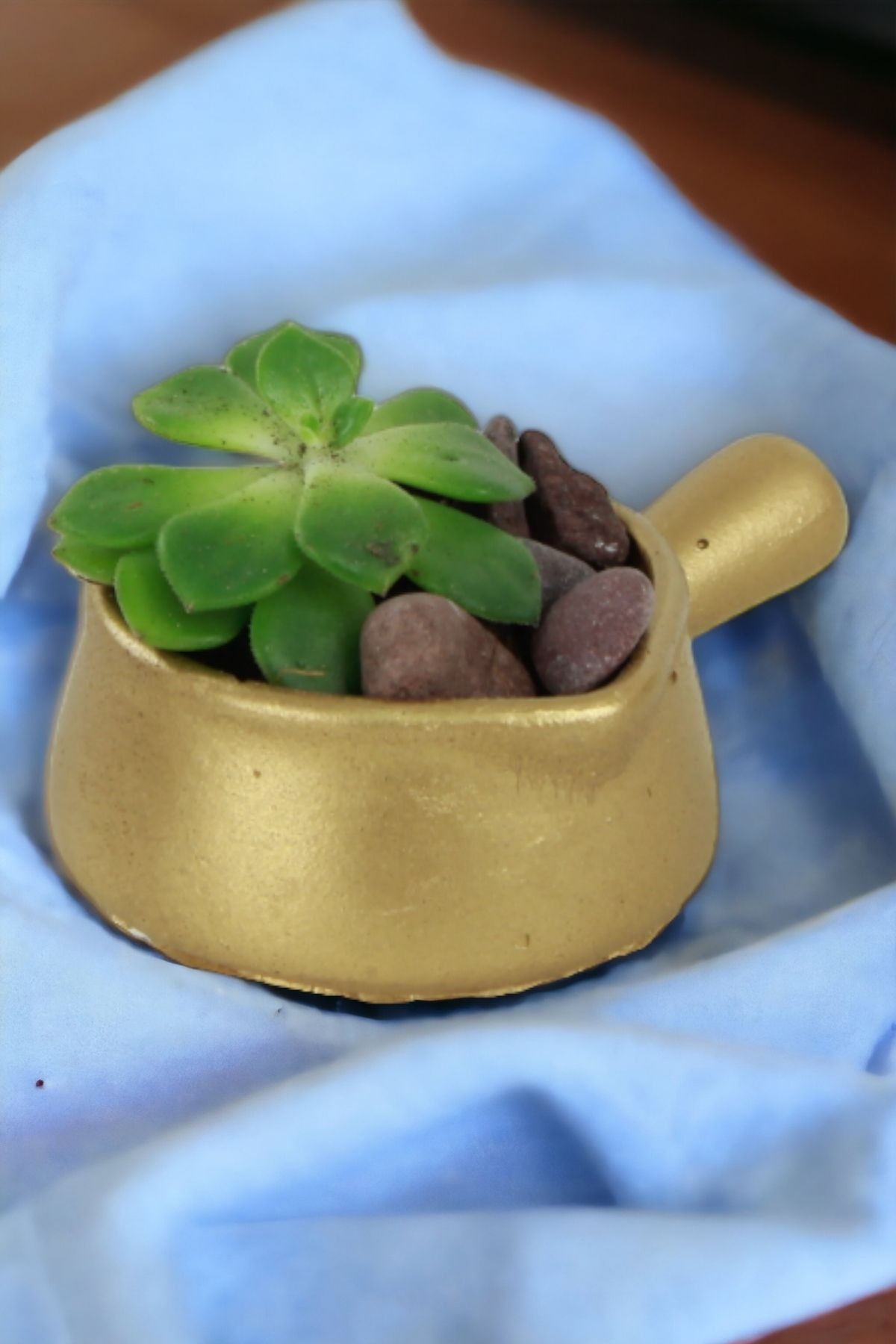 Altın thumbnail image