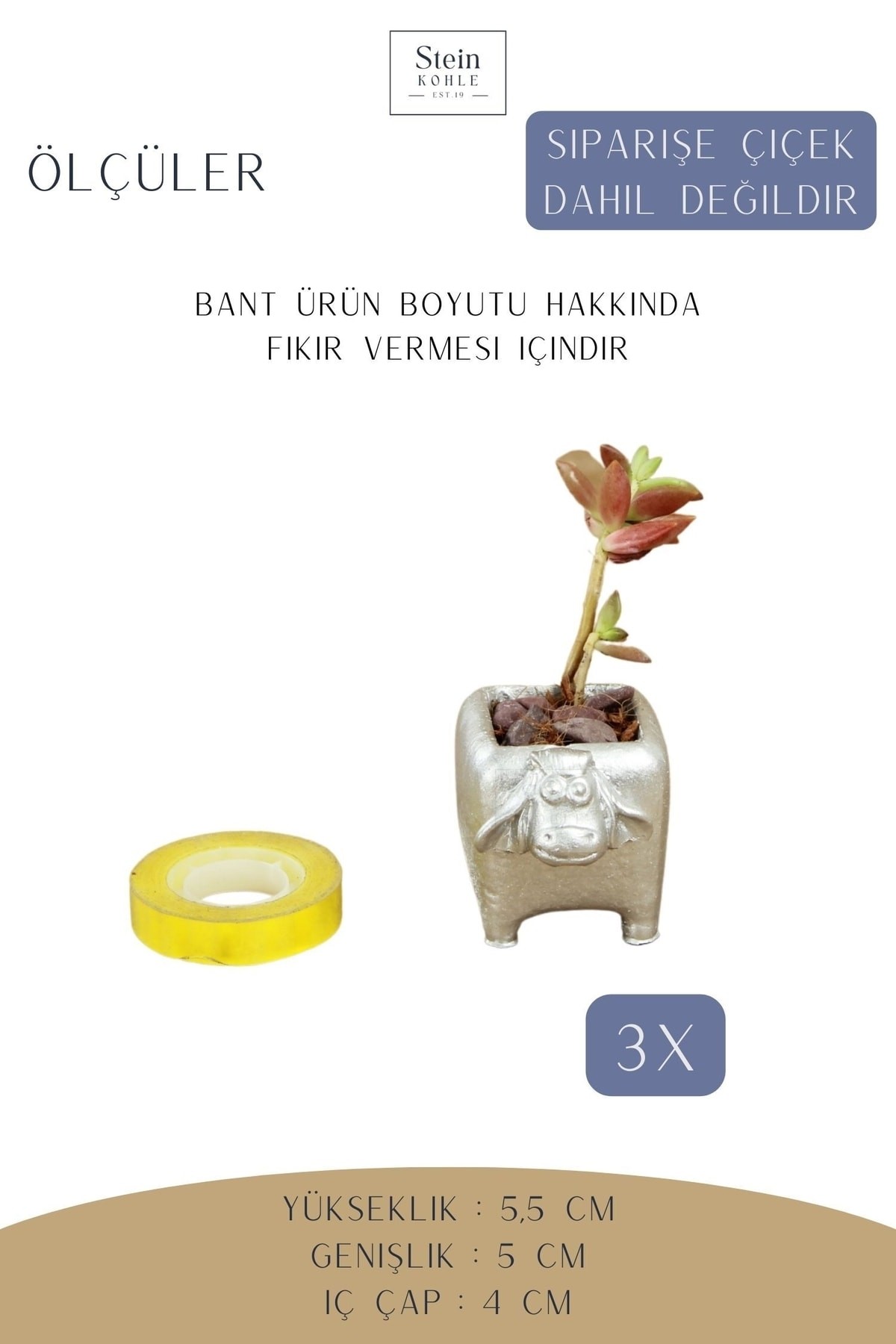 Dekoratif Saksı Minik Kaktüs Saksısı Gümüş Renk 3 Adet Saksı Seti Mini Inek Model