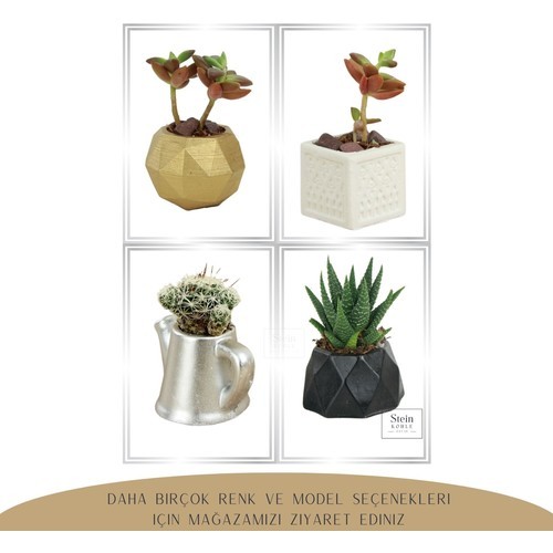 Stein Kohle Dekoratif Saksı Minik Kaktüs Saksısı Mini Kare Model