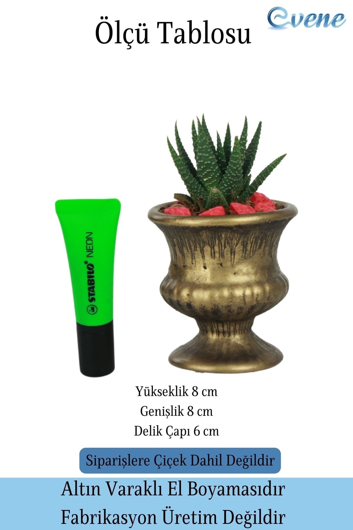 Kaktüs Saksısı Dekoratif Saksı Model 14