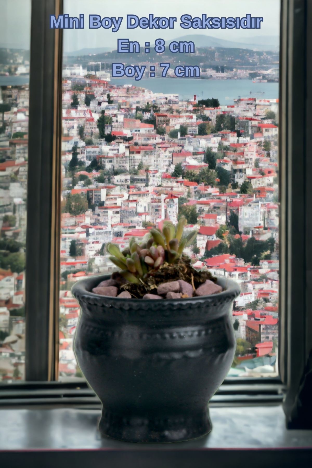 SİYAH thumbnail image
