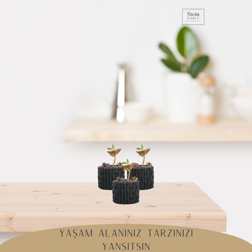 Stein Kohle Dekoratif Saksı Minik Kaktüs Saksısı Baklava Model