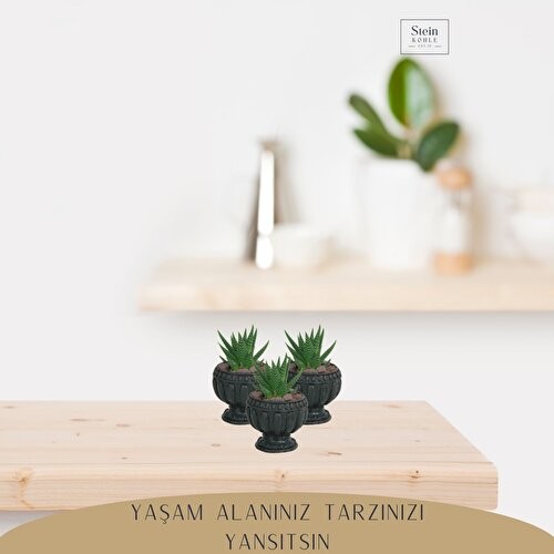 Dekoratif Saksı Minik Kaktüs Saksısı Antika Vazo Model