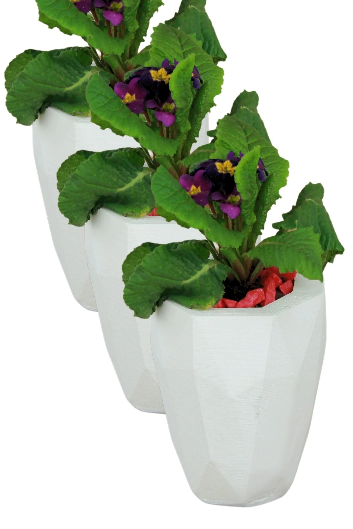 Beyaz thumbnail image