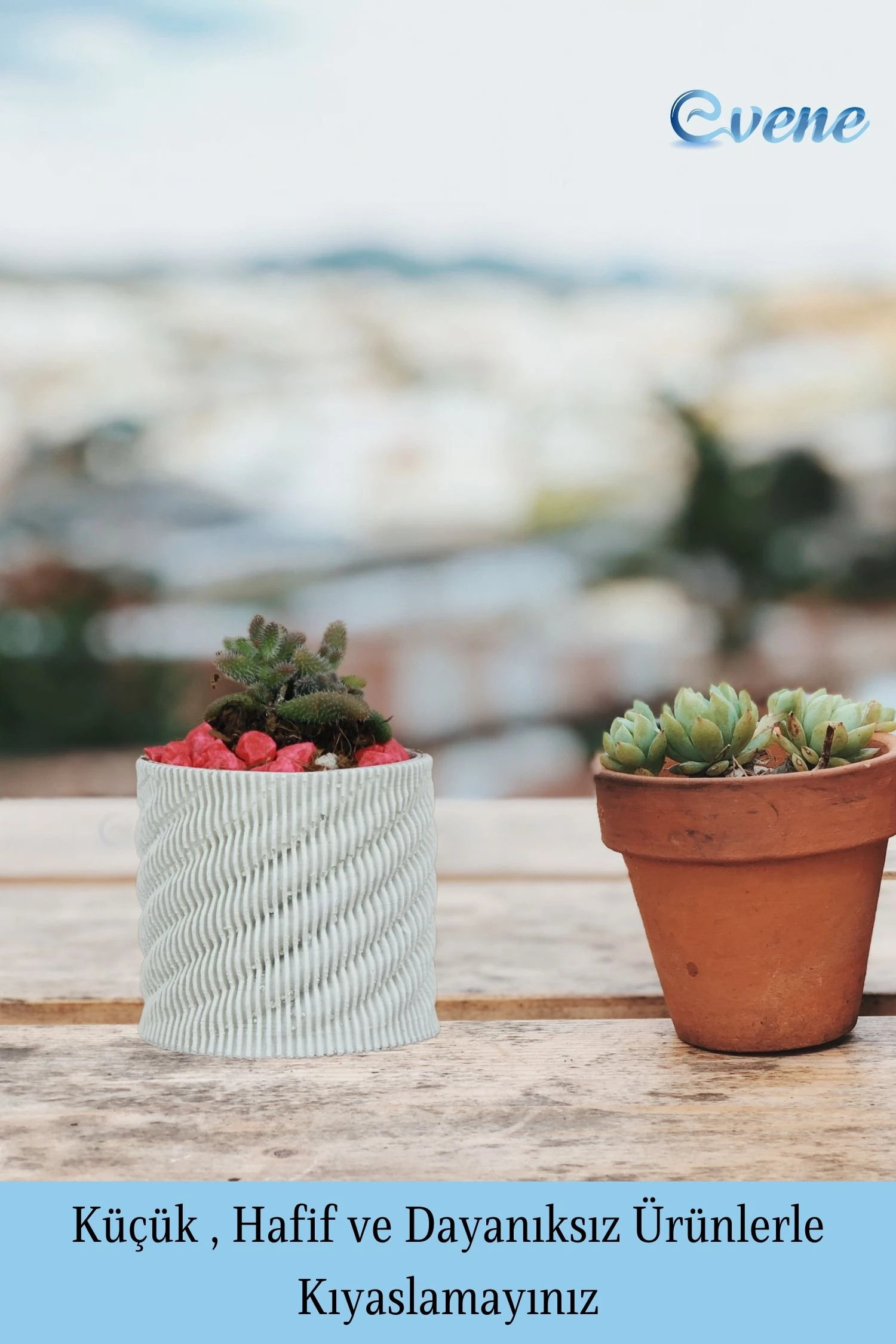 Saksı Kaktüs Saksısı Dekoratif Saksı Model 15