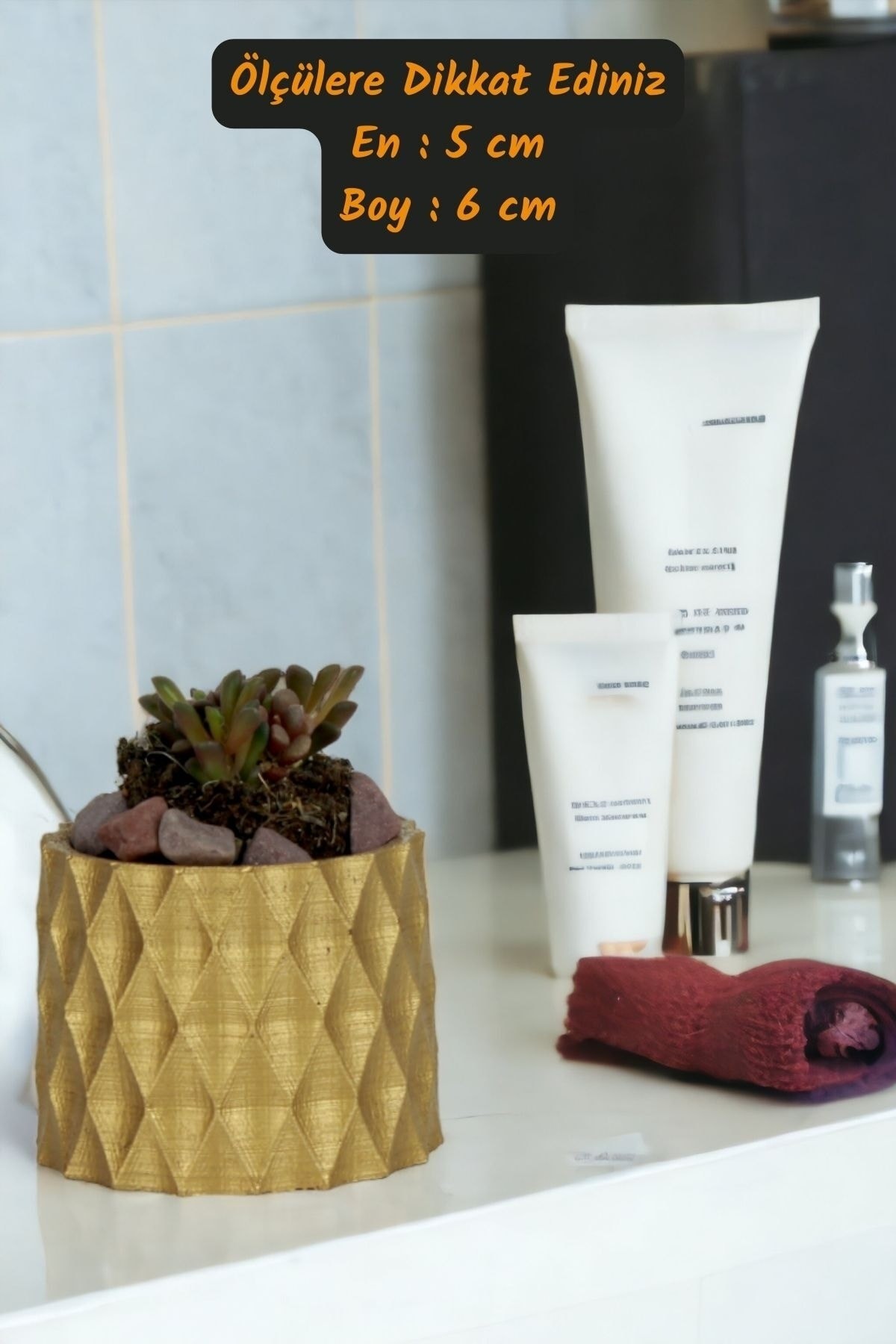 Premium Saksı Minyatür Dekoratif Kaktüs Sukulent Saksısı Model 16