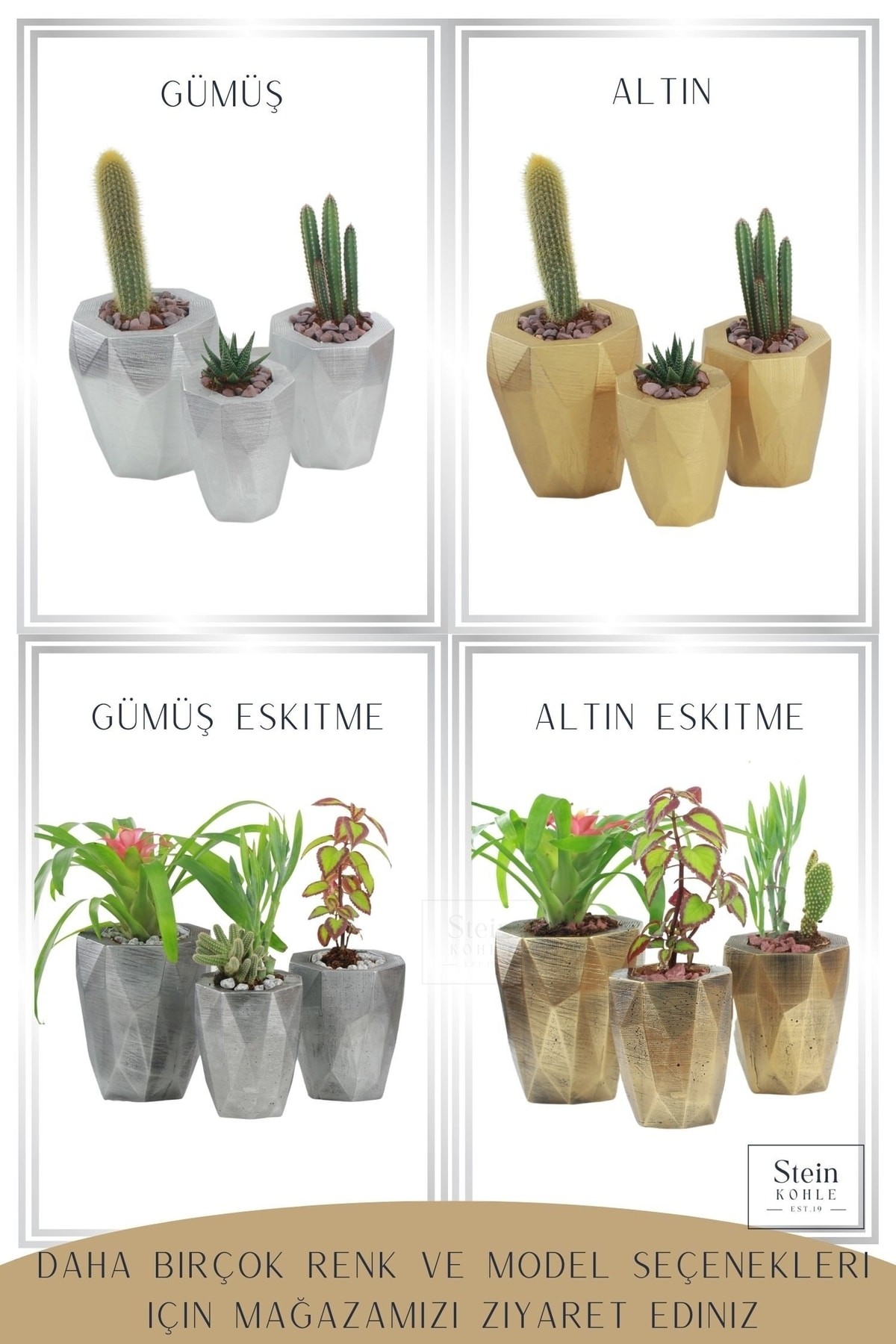 Altın thumbnail image