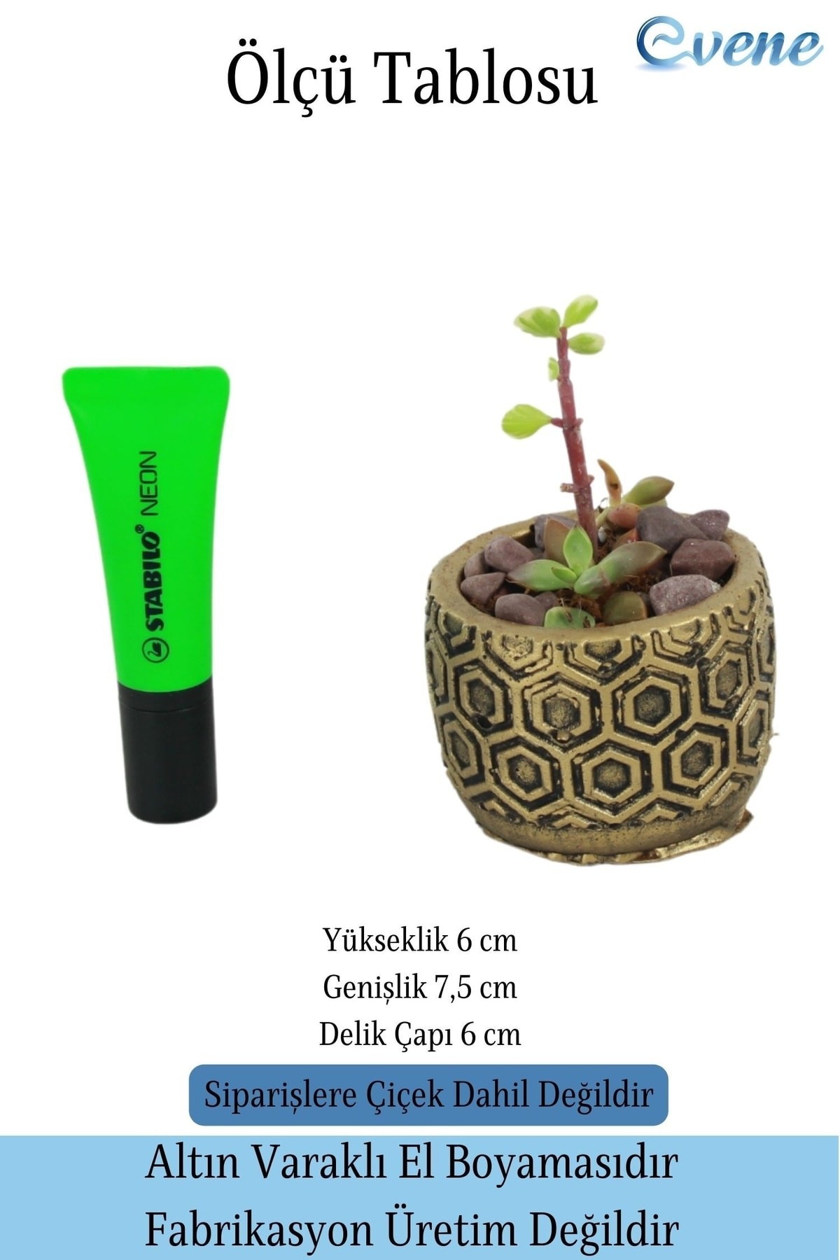 Mini Çiçek Saksı Küçük Sukulent Gümüş Kaktüs Saksısı Altıgen Desenli Model