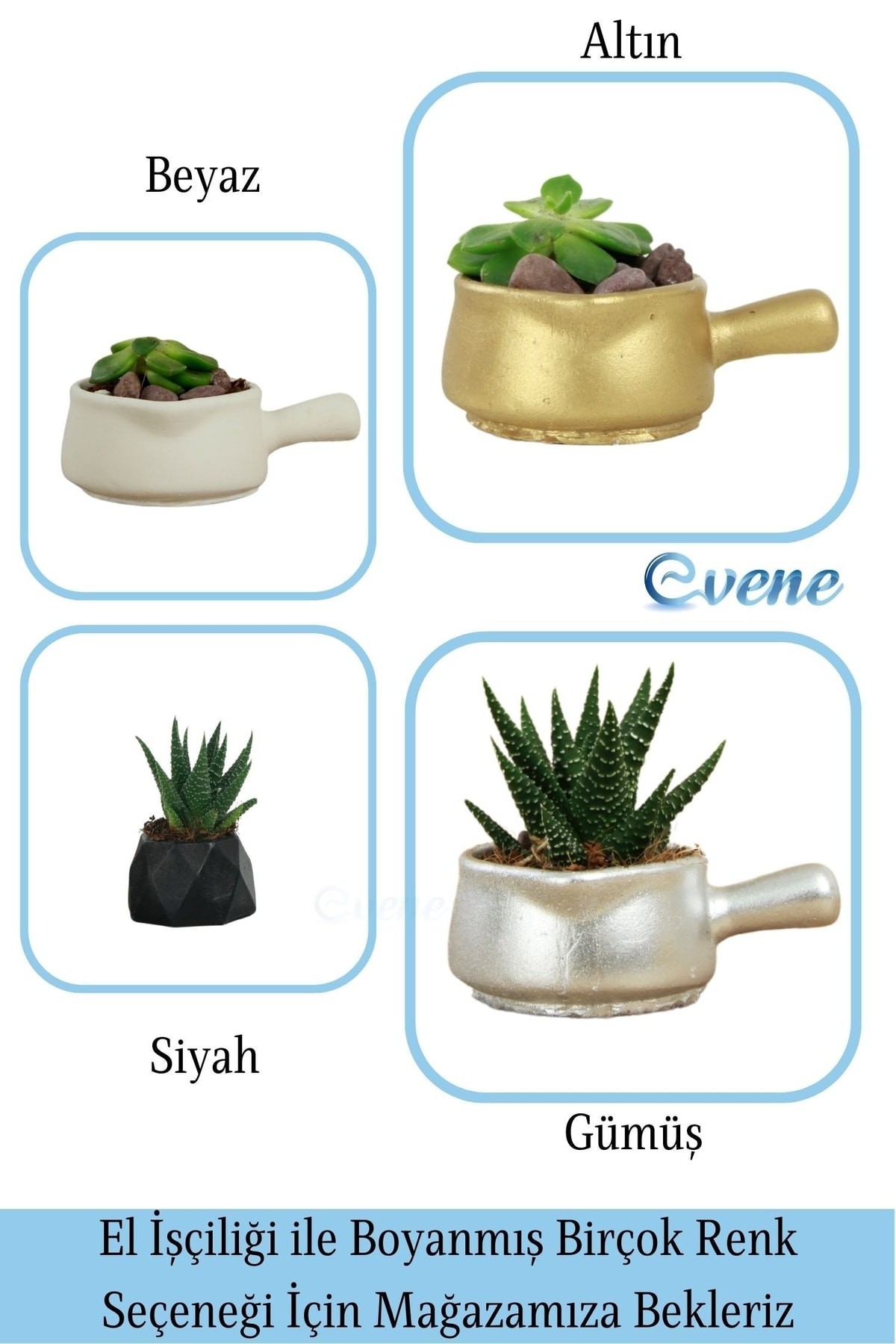 Mini Çiçek Saksı Küçük Sukulent Altın Kaktüs Saksısı Tava Model