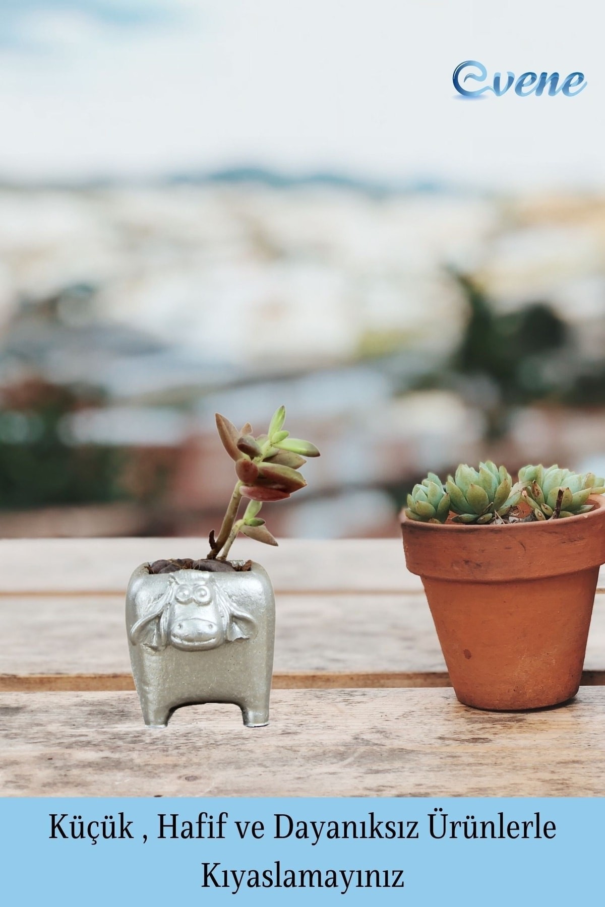 Mini Çiçek Saksı Küçük Sukulent Gümüş Kaktüs Saksısı 3'lü Set Mini İnek Model