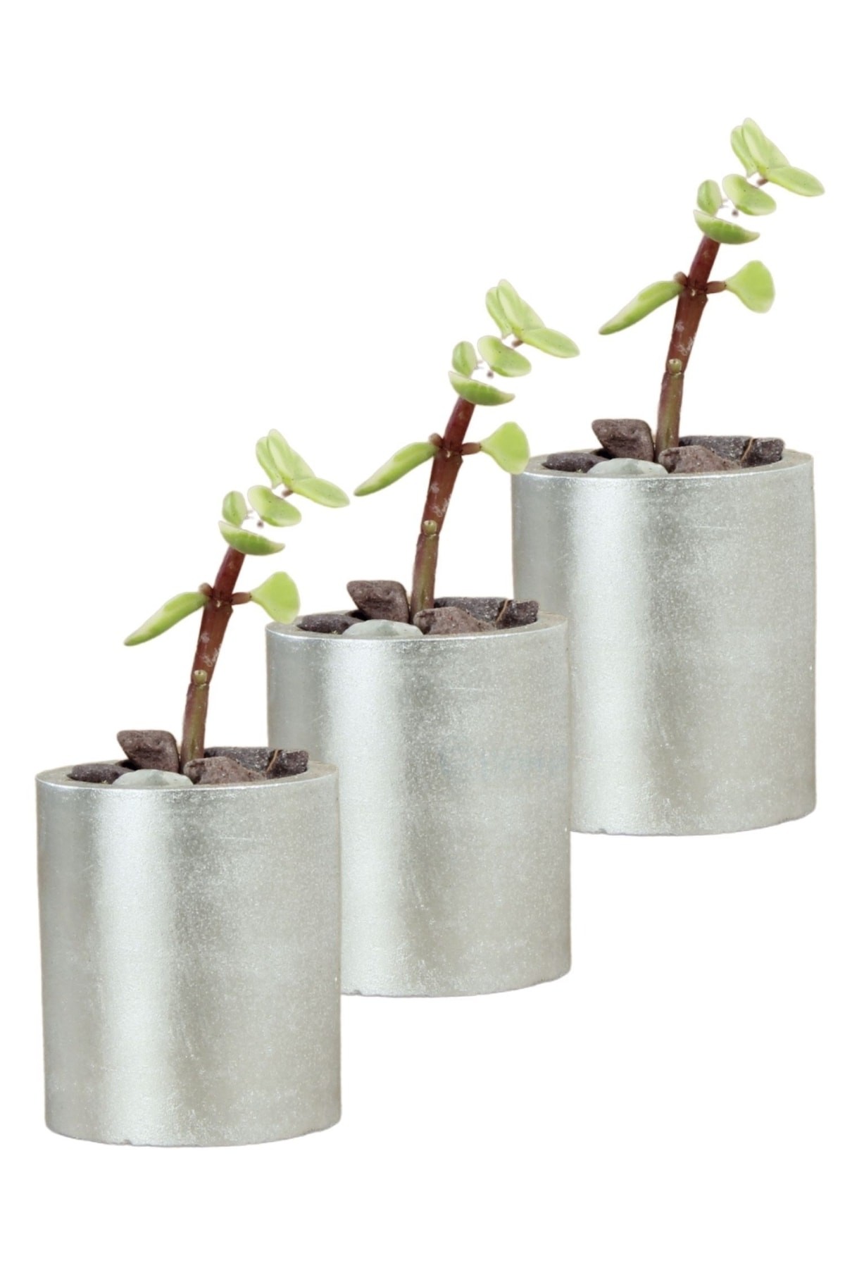 Mini Çiçek Saksı Küçük Sukulent Gümüş Kaktüs Saksısı 3'lü Set Düz Yuvarlak Model