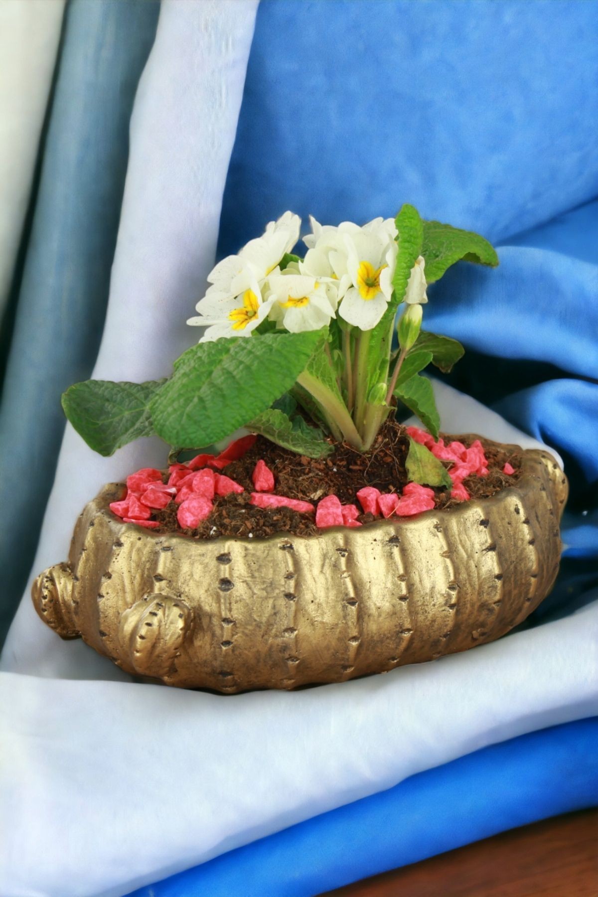 Siyah - Altın thumbnail image