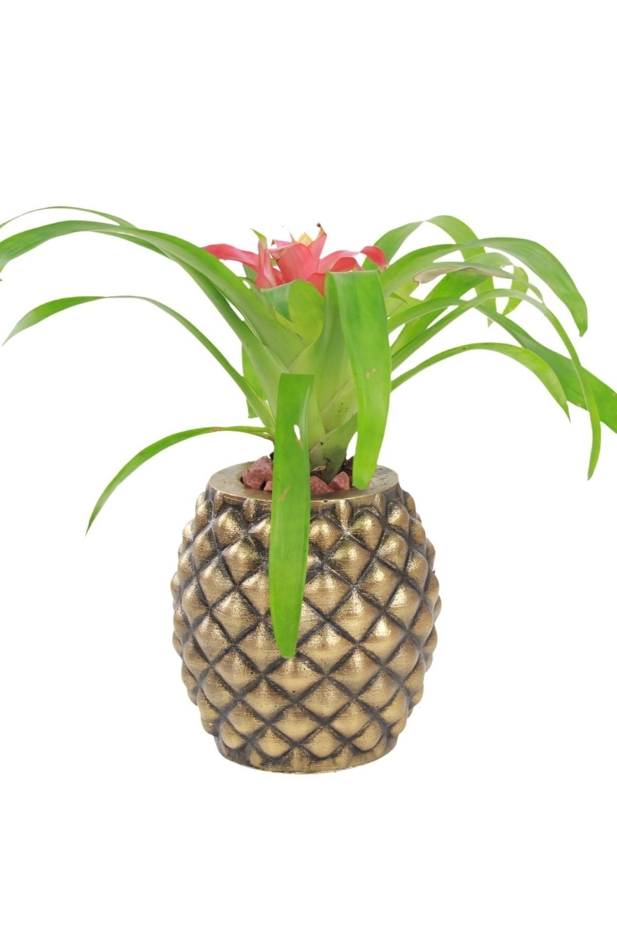 Saksı Çiçek Kaktüs Saksısı Lüx 15 Cm Altın Eskitme Varak Boyalı Ananas Desen Saksı Çiçeklik image