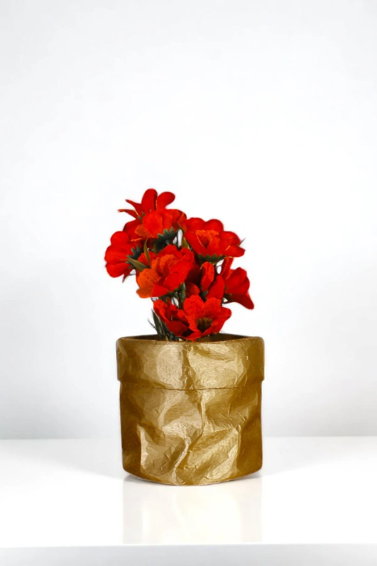 Altın thumbnail image