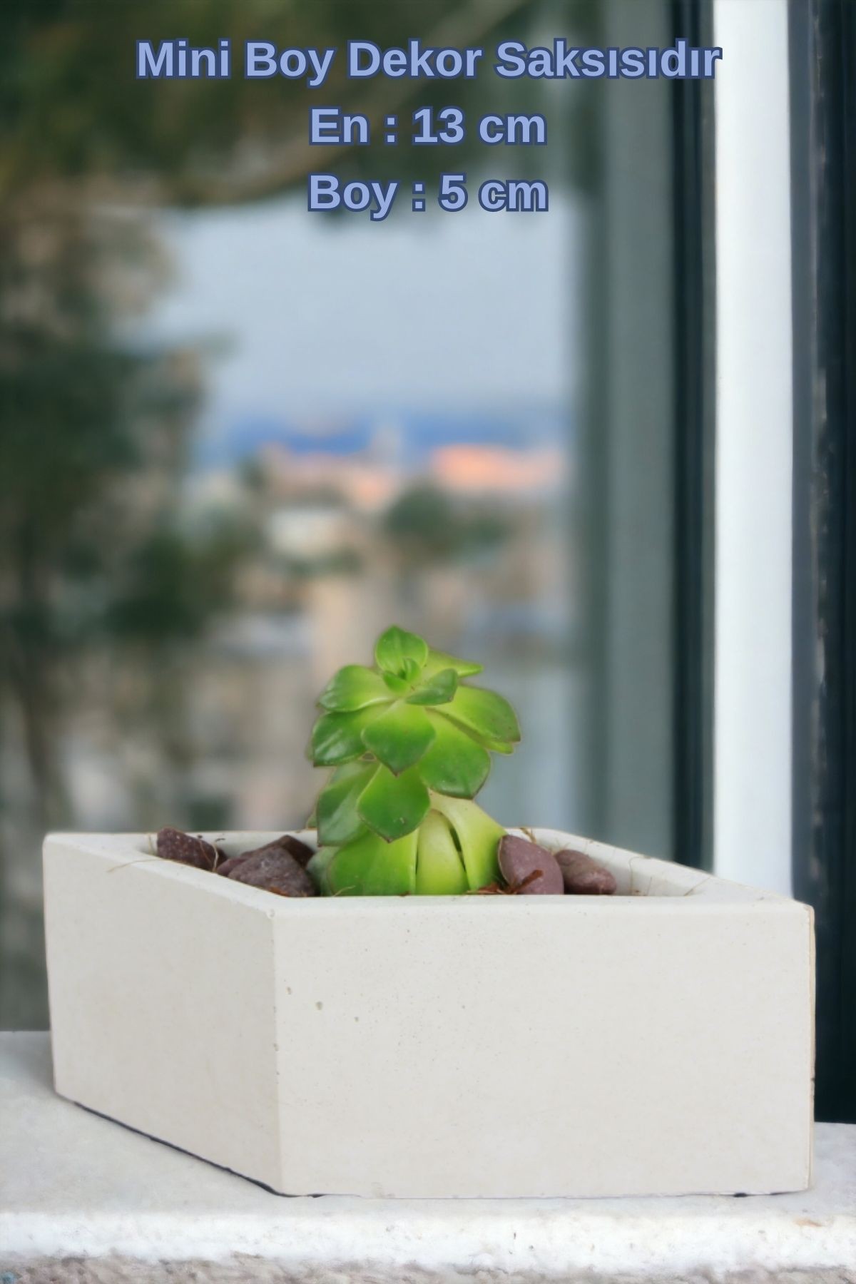 Beyaz thumbnail image