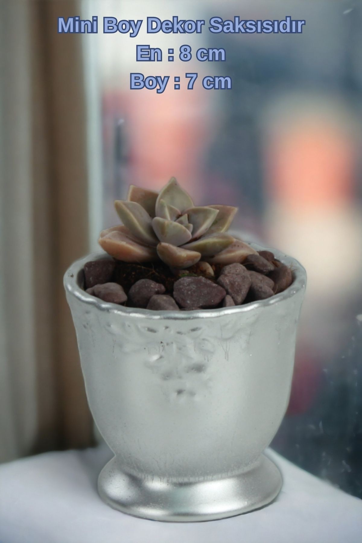 Gümüş thumbnail image