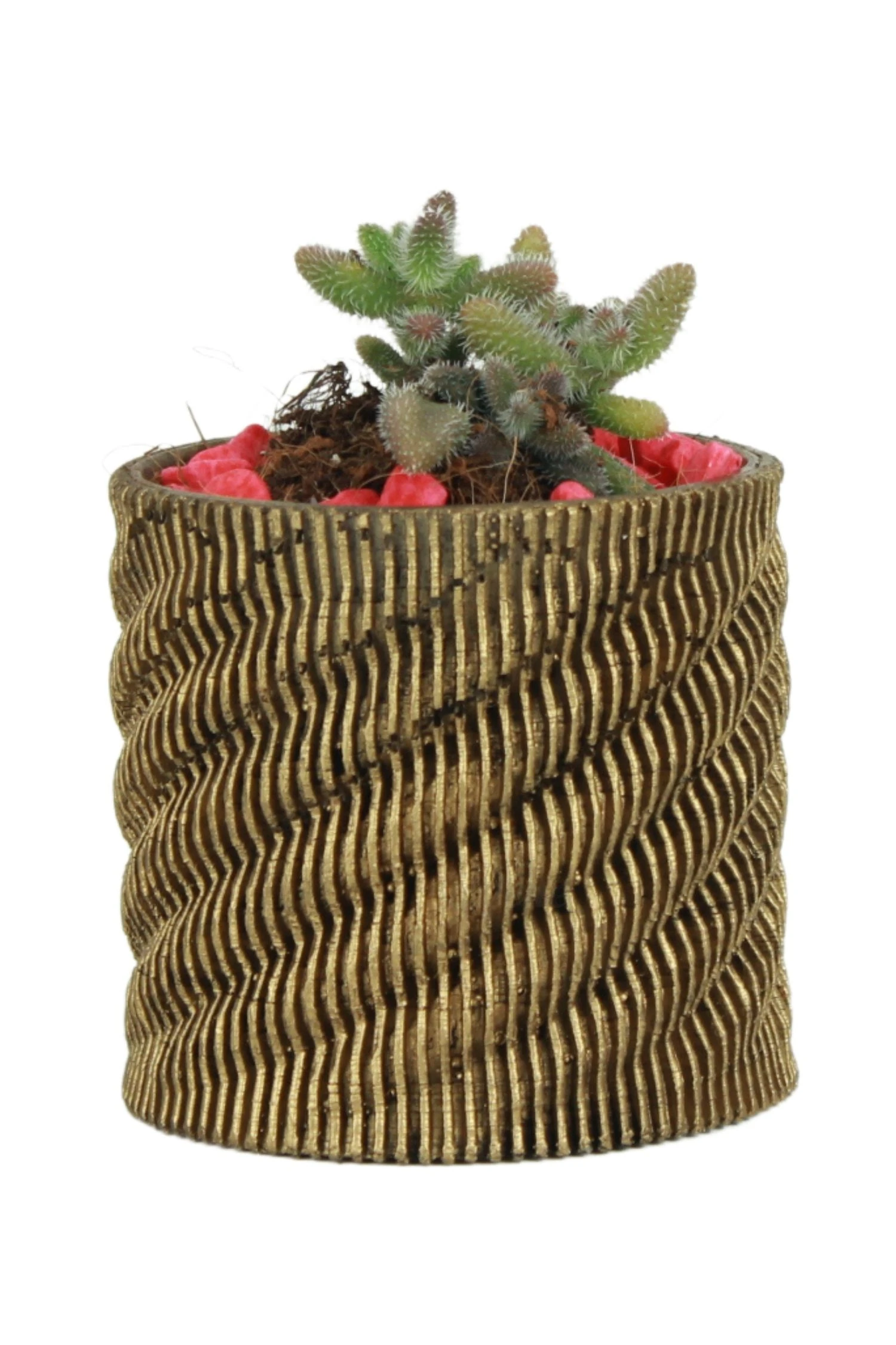 Siyah - Altın thumbnail image