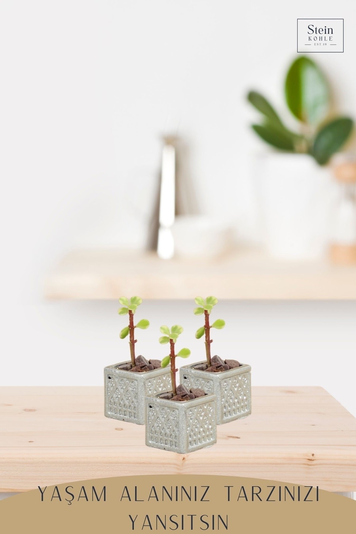 Dekoratif Saksı Minik Kaktüs Saksısı Gümüş Renk 3 Adet Saksı Seti Mini Kare Model